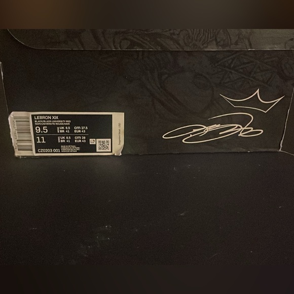 Lebrons Kick Air Jordans - Picture 3 of 4